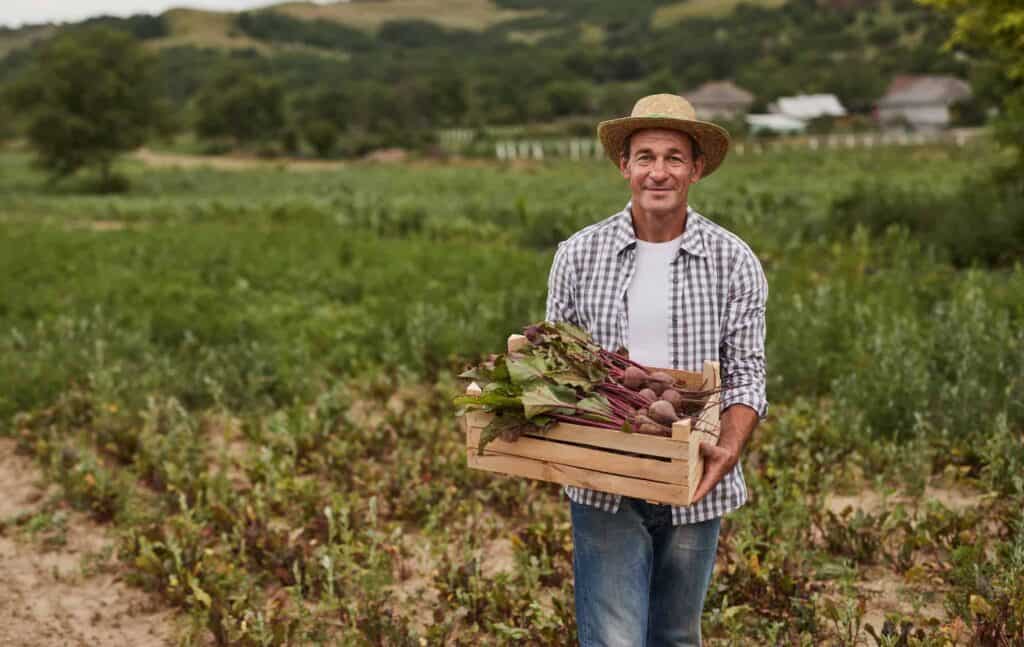 rural farmer with freshly harvested turnips